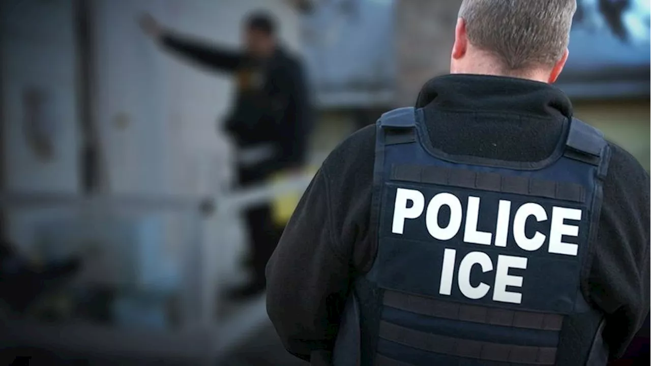 Migrant Asks for ICE Arrest, Citing Intent to Commit Crimes