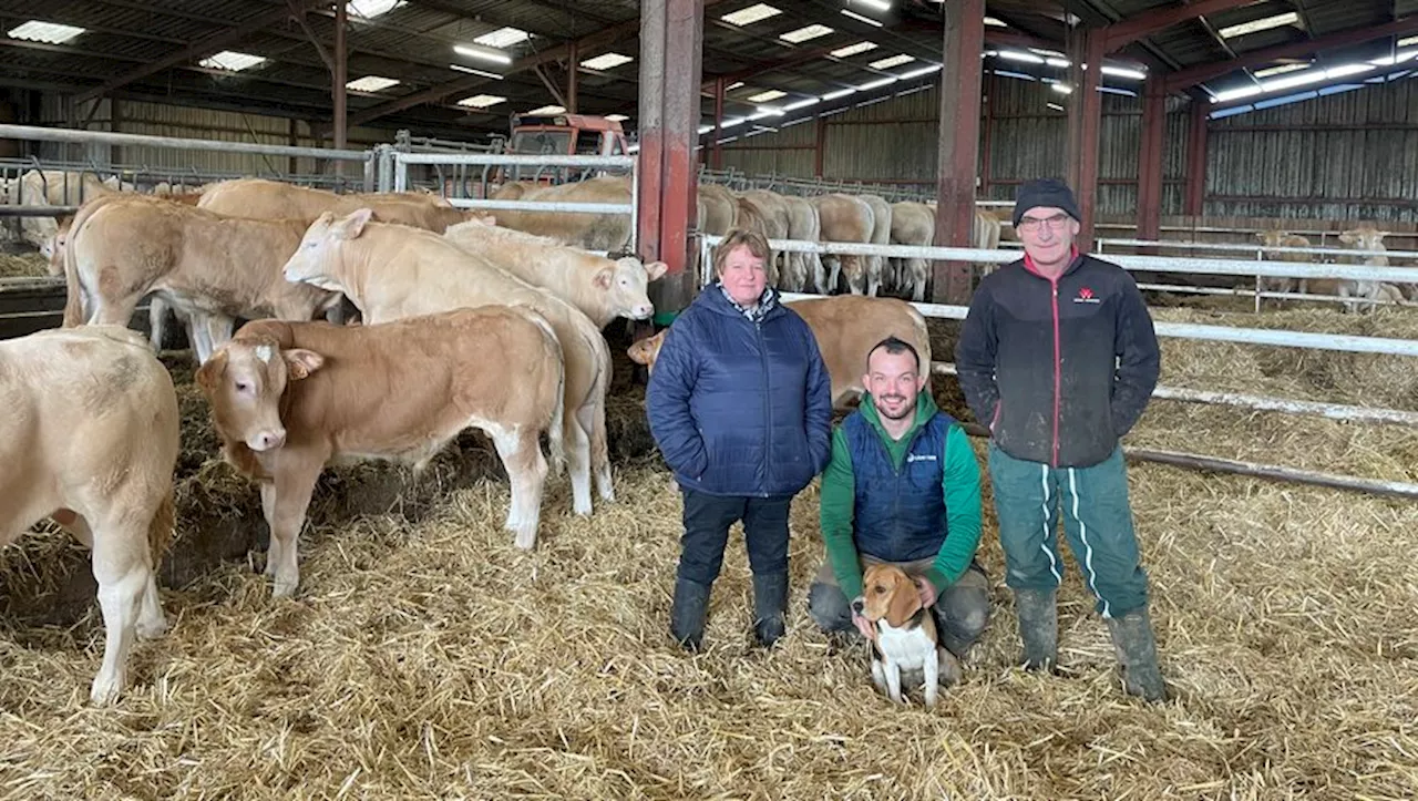 50 vaches, des projets d’agrandissement, arrivée imminente du fils : les Saint-Mézard, une famille au cœur de