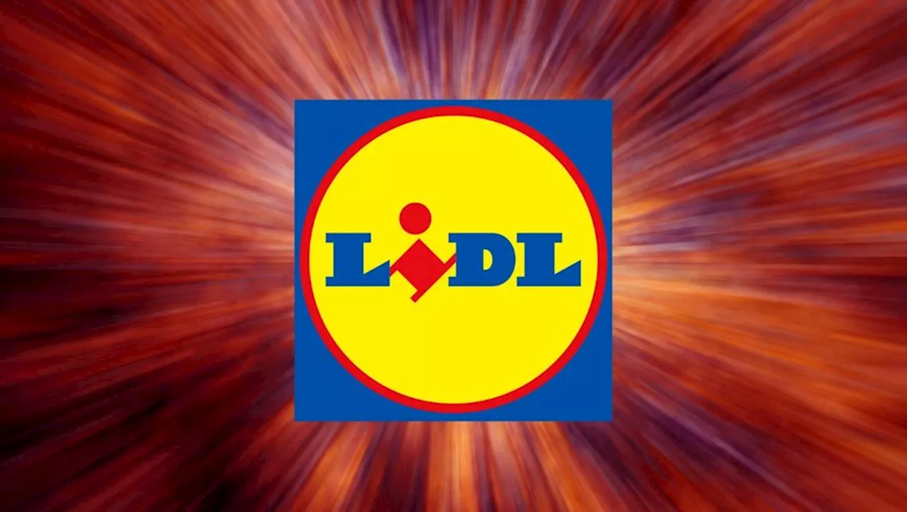 Lidl : Armoire de Jardin à Prix Irrésistible !