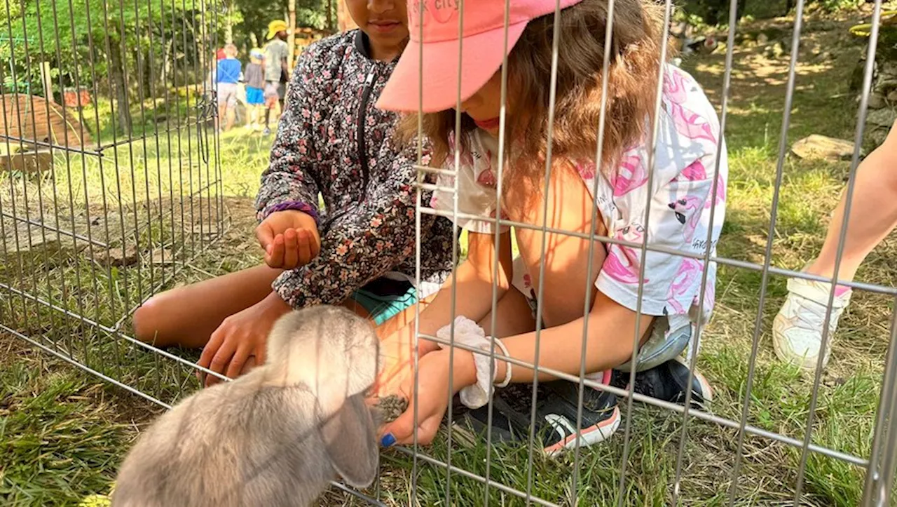 'Une véritable parenthèse dans la nature !' Ce lieu d’hébergement d’intérêt social fête ses 50 ans