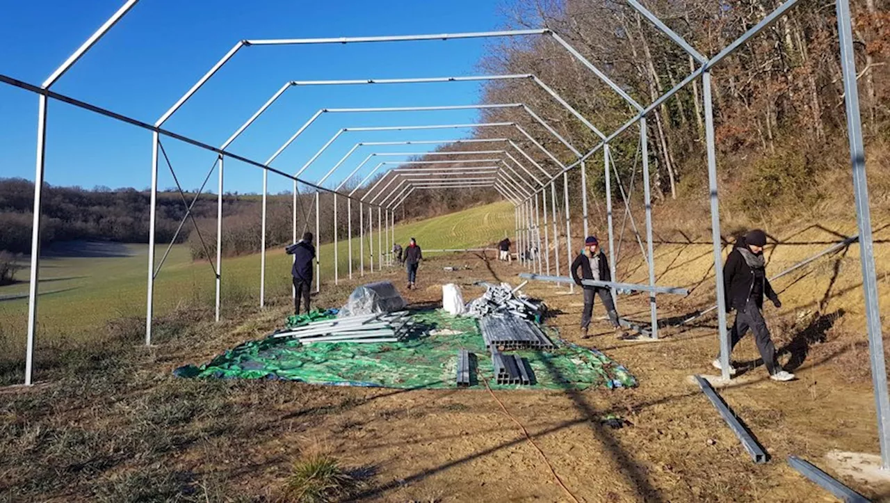 Volières, enclos, éleveuse… l’association La Belette finit de construire son centre de sauvegarde des animaux