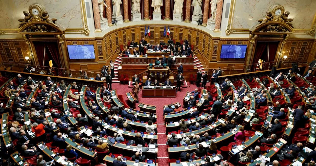 «Ce dossier est très curieux»: le procès de l’affaire de la sextape au Sénat annulé