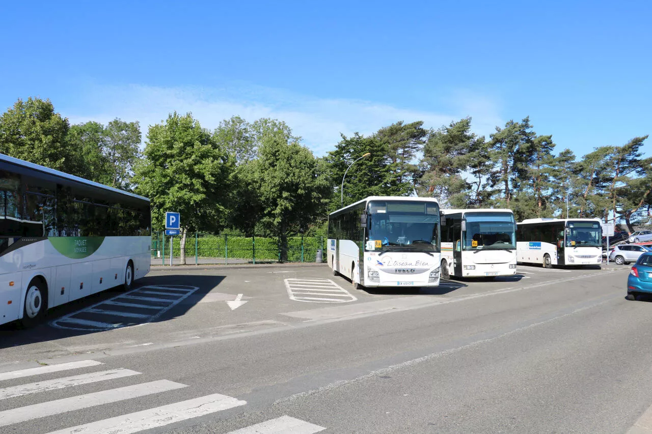 Contrôles Musclés sur les Cars Scolaires dans le Nord: Un Conducteur Positif à l'Alcool et Quatre à la Drogue