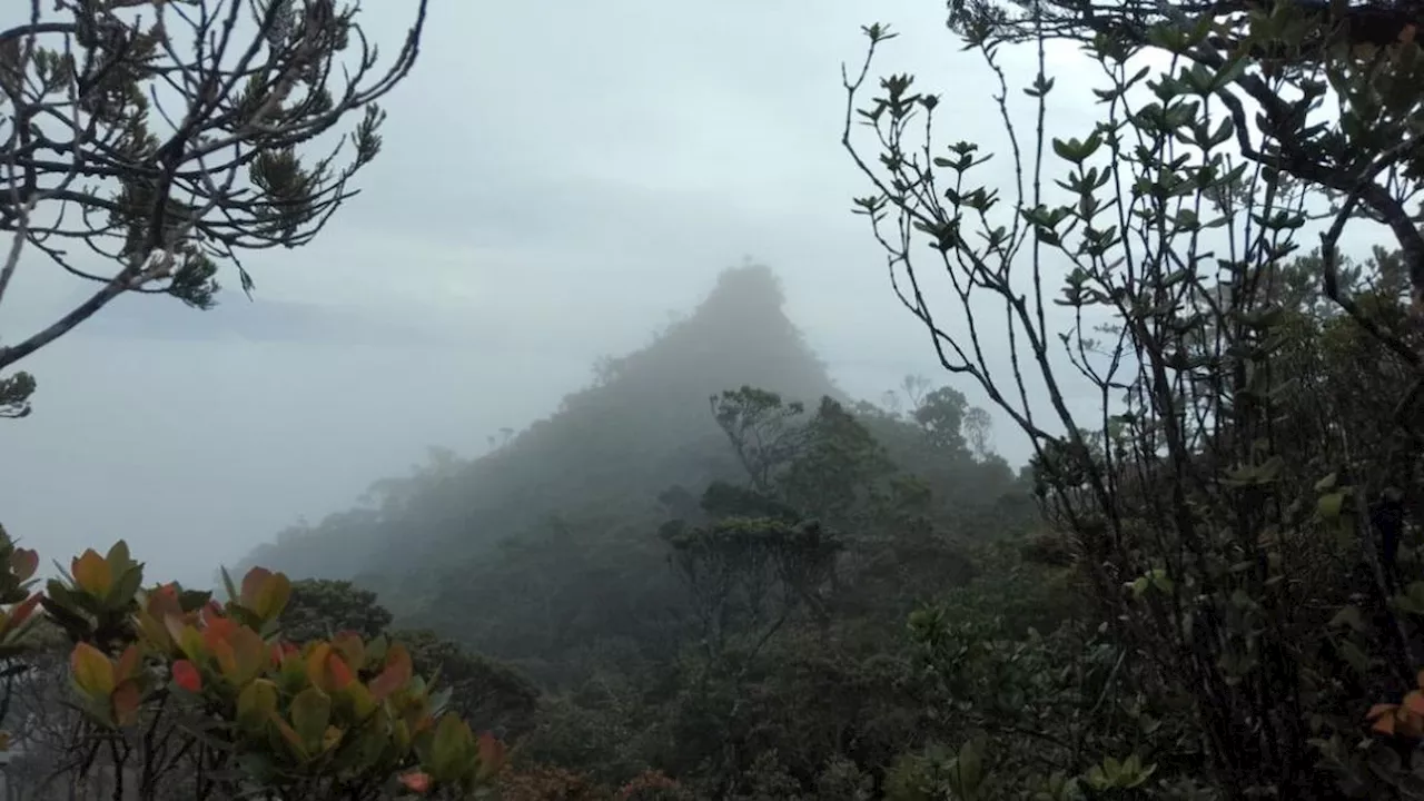 6 Fakta Menarik Gunung Sinsing di Perbatasan Kalimantan dan Malaysia