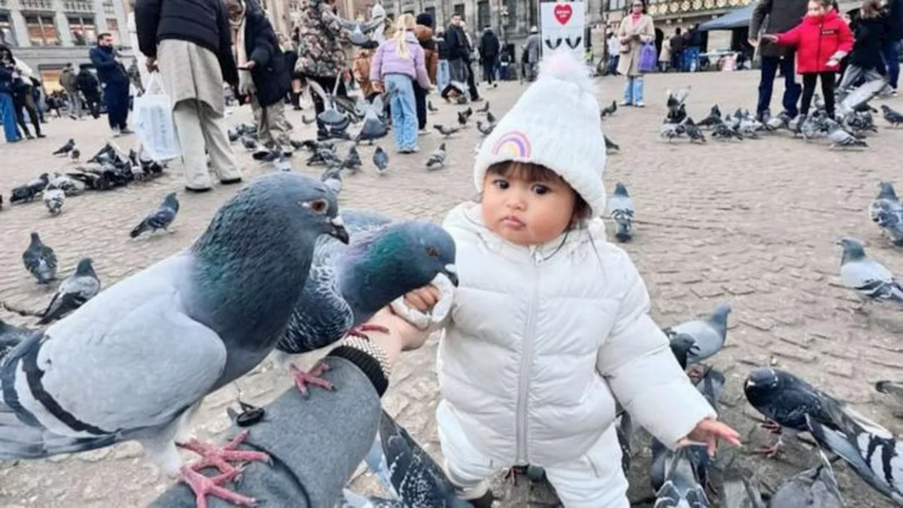 7 Potret Cunda Anak Denny Caknan Diajak Liburan ke Belanda, Gemas dan Antusias Beri Makan Merpati