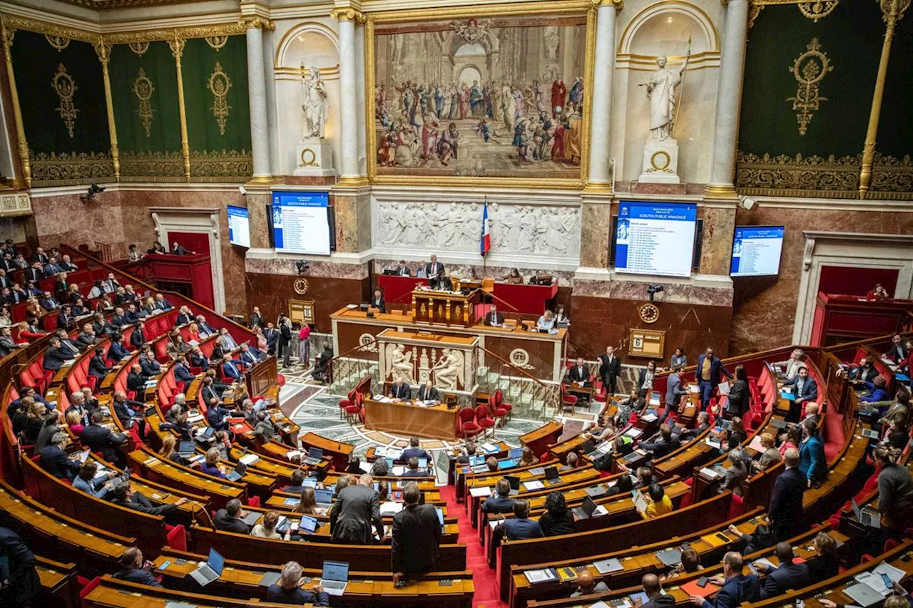 Législative partielle dans les Hauts-de-Seine : Elisabeth de Maistre (LR) élue députée à Boulogne-Billancourt