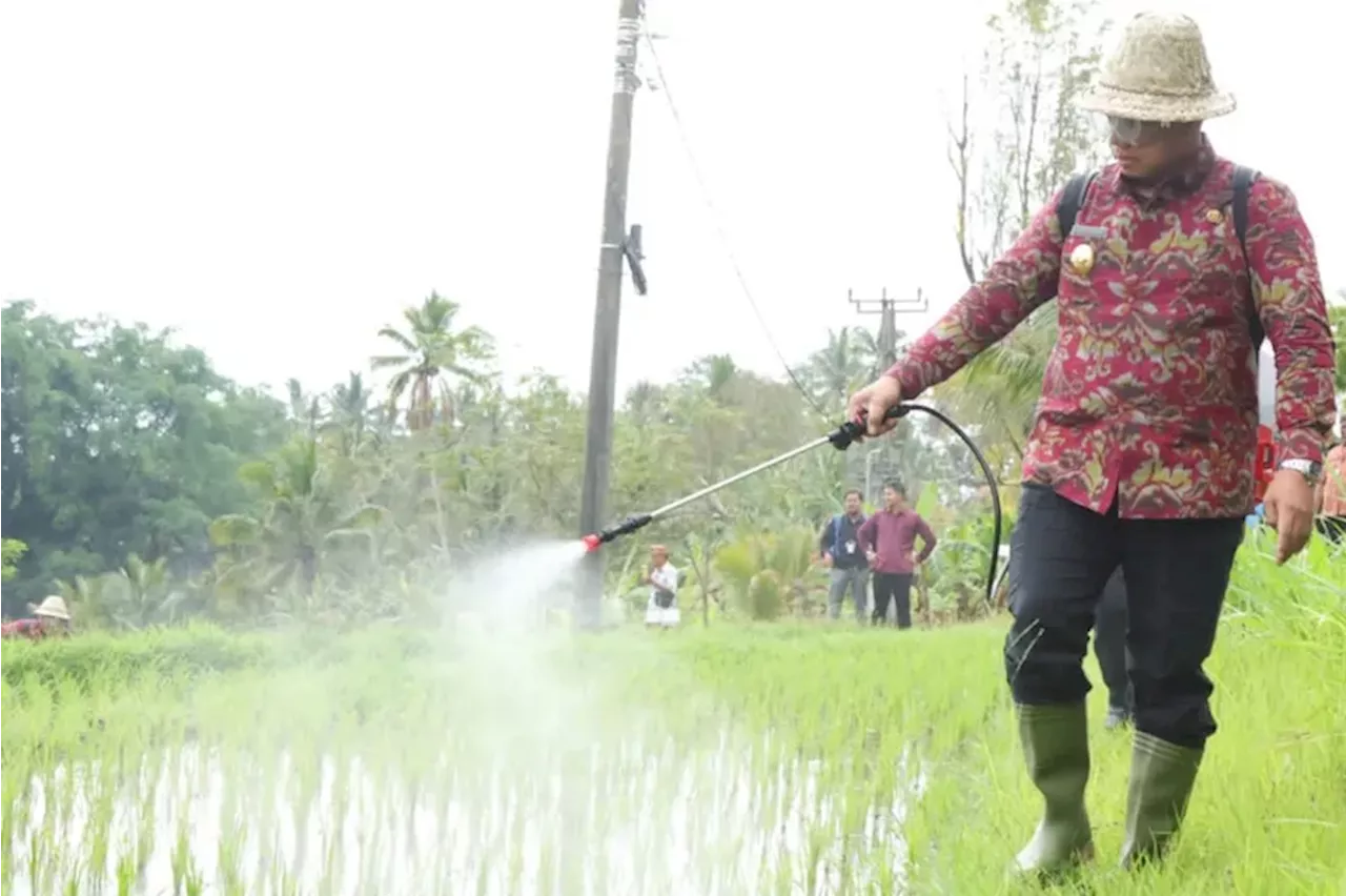 Pemilik Tempat Produksi Pupuk Cair Palsu Ditetapkan Tersangka