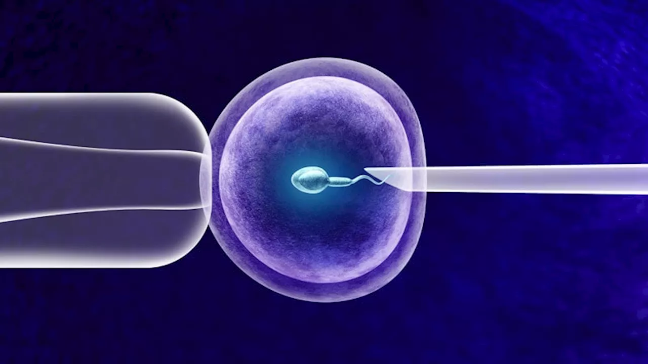 Fresh Embryo Transfer May Be Better Than Freeze-All for Women With Low IVF Prognosis