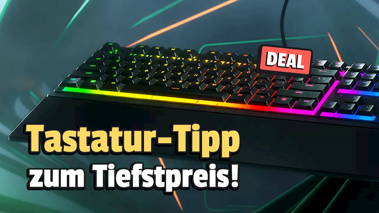 Razer Ornata V3: Die günstige Gaming-Tastatur mit mechanischem Druckgefühl