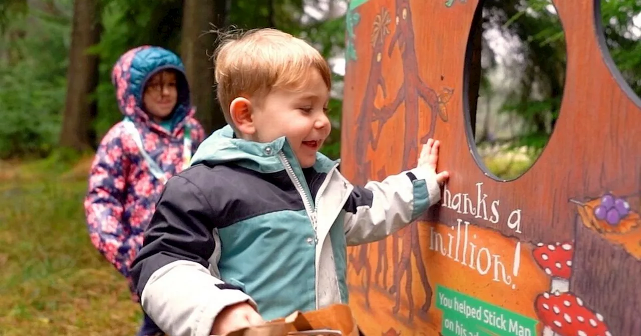 Free Stick Man trail comes to Delamere Forest in time for February half term