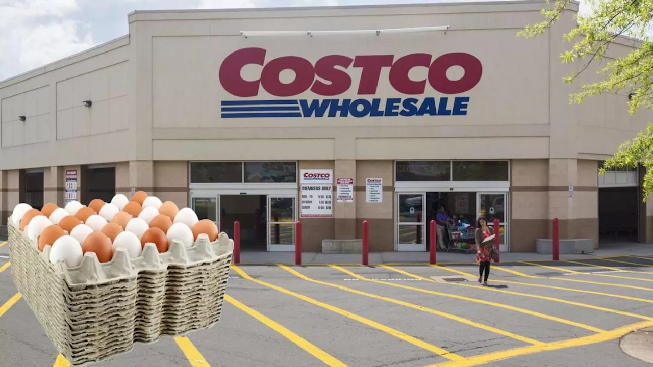 Costco Impone Nueva Regla para la Compra de Huevos