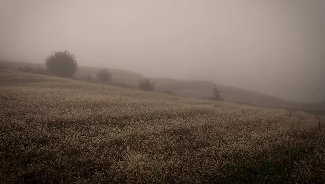 La France sous l'emprise d'une goutte froide : pluie et neige prévues toute la semaine