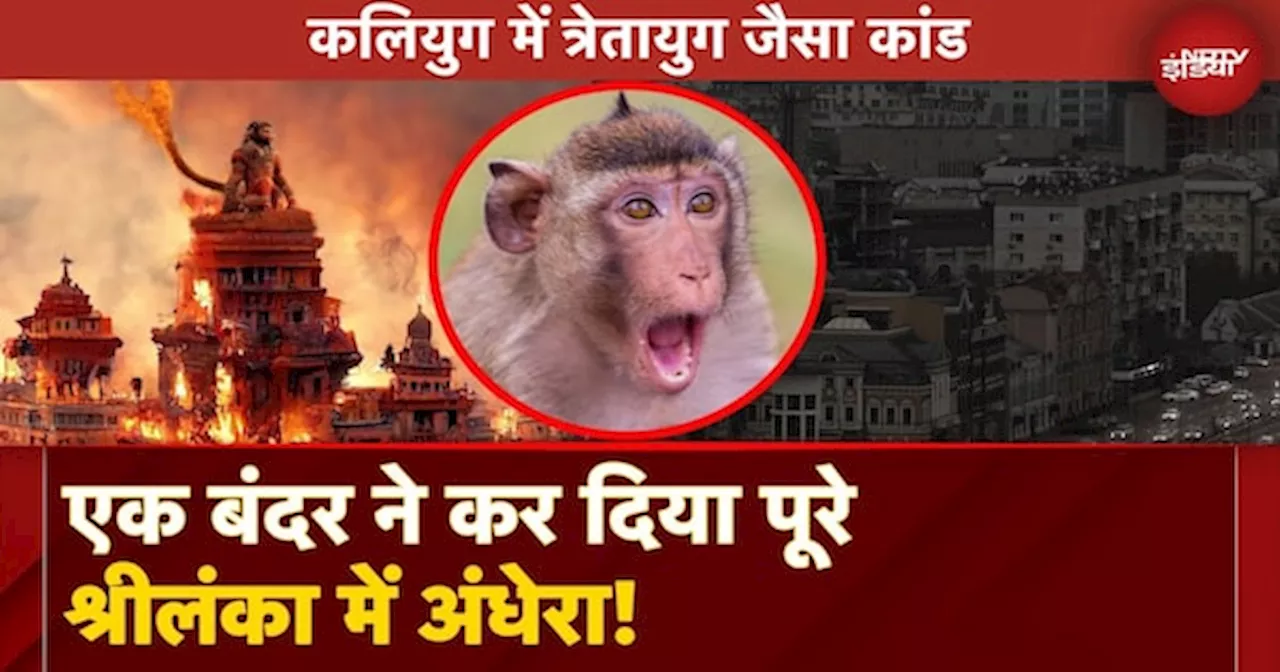 Sri Lanka Power Outage: Treta Yug में Hanuman ने जलाई थी लंका, Kalyug में Monkey ने किया Blackout!