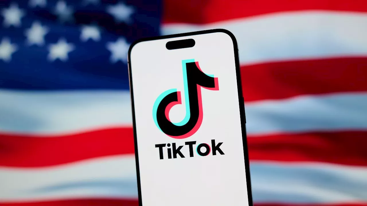 Elon Musk als möglicher Retter von Tiktok? Tesla-Chef winkt ab, spekuliert aber über Algorithmus