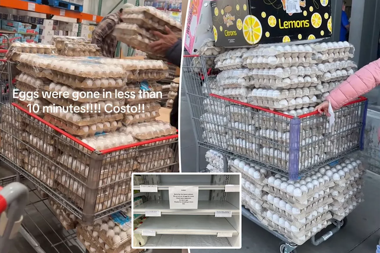 Trader Joe’s and Costco place purchase limit on eggs due to hoarding amid price surge