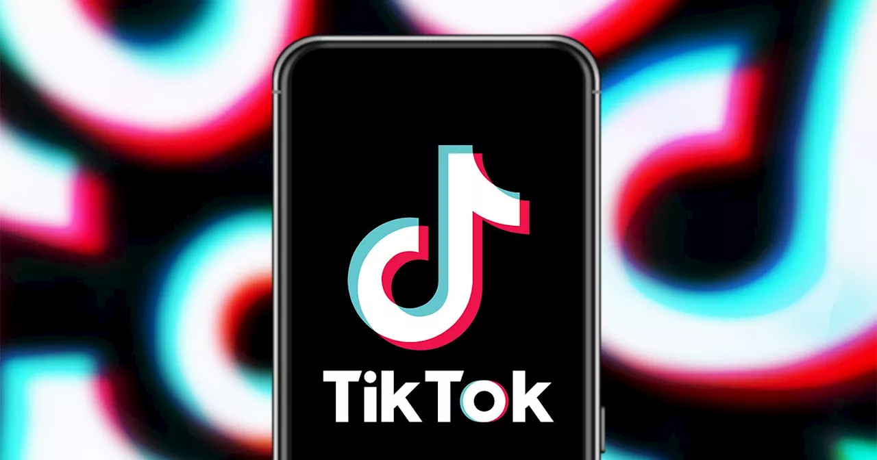 Elon Musk Denies Bidding for TikTok, Questions App's Value