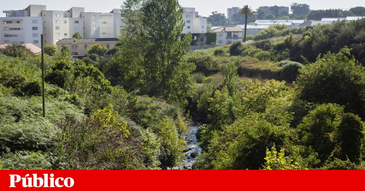 Câmara do Porto pode encerrar litígio com empresa privada junto à ribeira da Granja