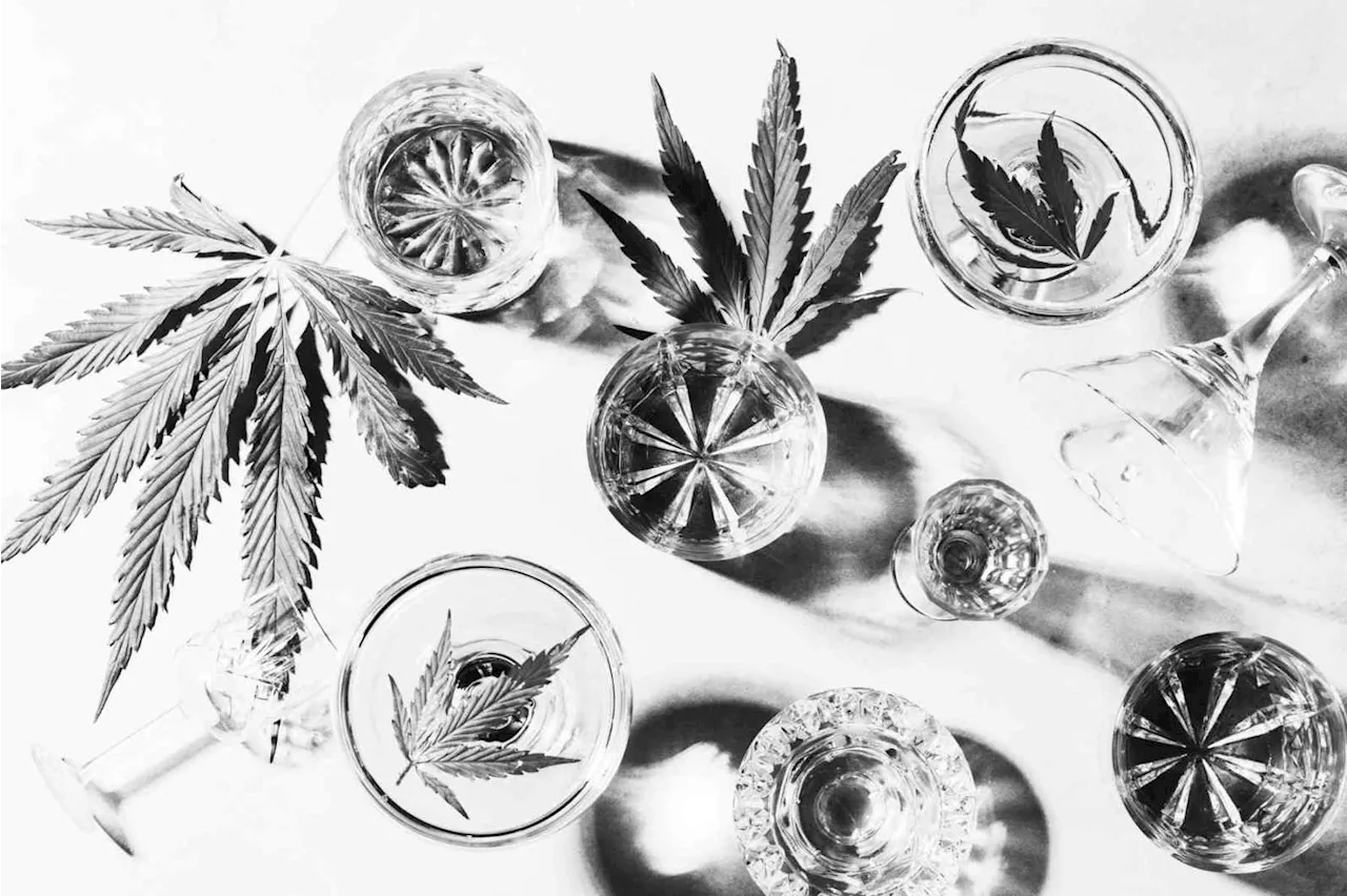 How Cannabis and Alt Beverage Brands Can Thrive Despite Marketing Hurdles