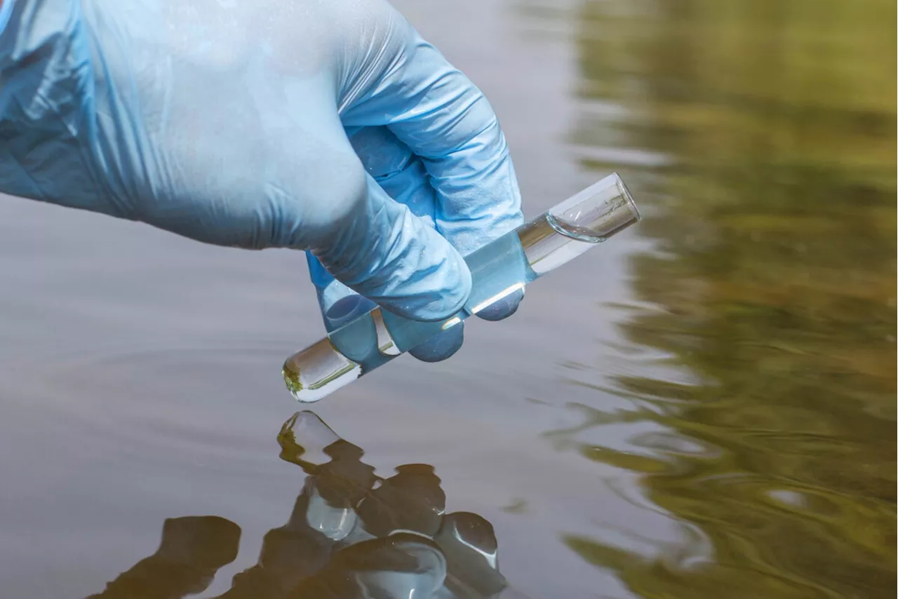 SRF-Rundschau: Kontroverse um Deltamethrin