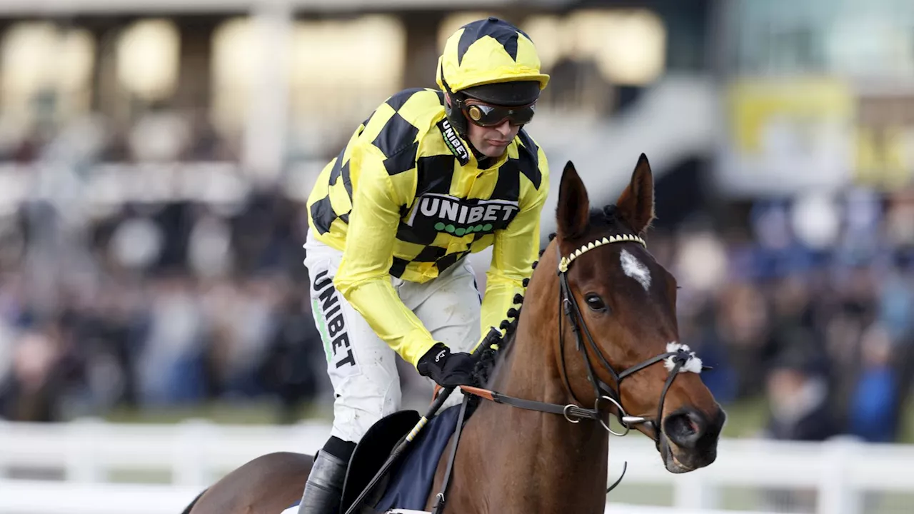 Cheltenham Festival Hopeful Sir Gino Ruled Out for Season Due to Ligament Infection