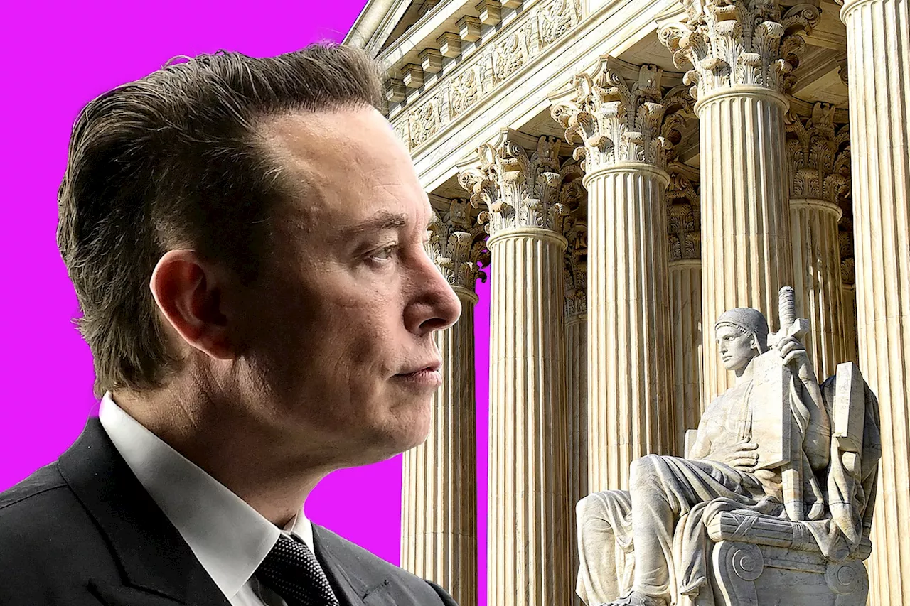 Lawsuits Push Back Against Trump-Musk Autocoup