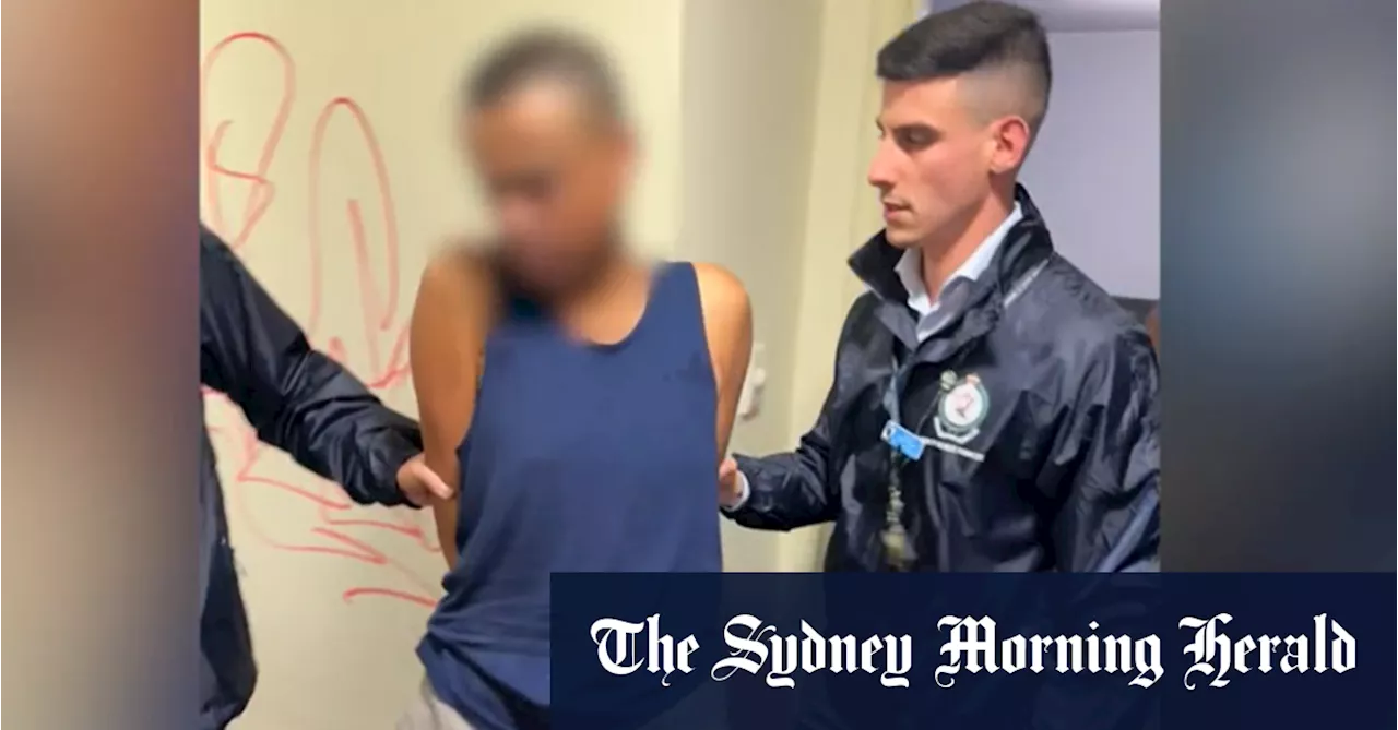 Sydney teenager allegedly sexually assaulted in daylight knifepoint attack