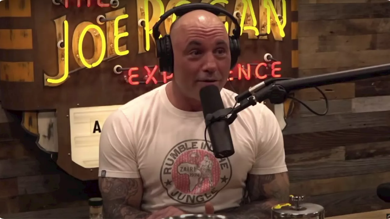 Joe Rogan Podcast Guest Reveals Wife's Warning About UFC Commentator