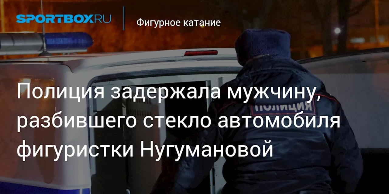 Задержан подозреваемый в хулиганстве после разгрома машины Елизаветы Нугумановой