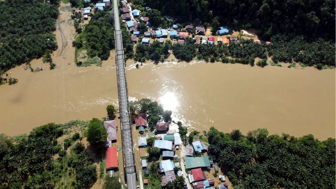 Floods: Kinabatangan tourism hit hard, lodges suffer heavy losses