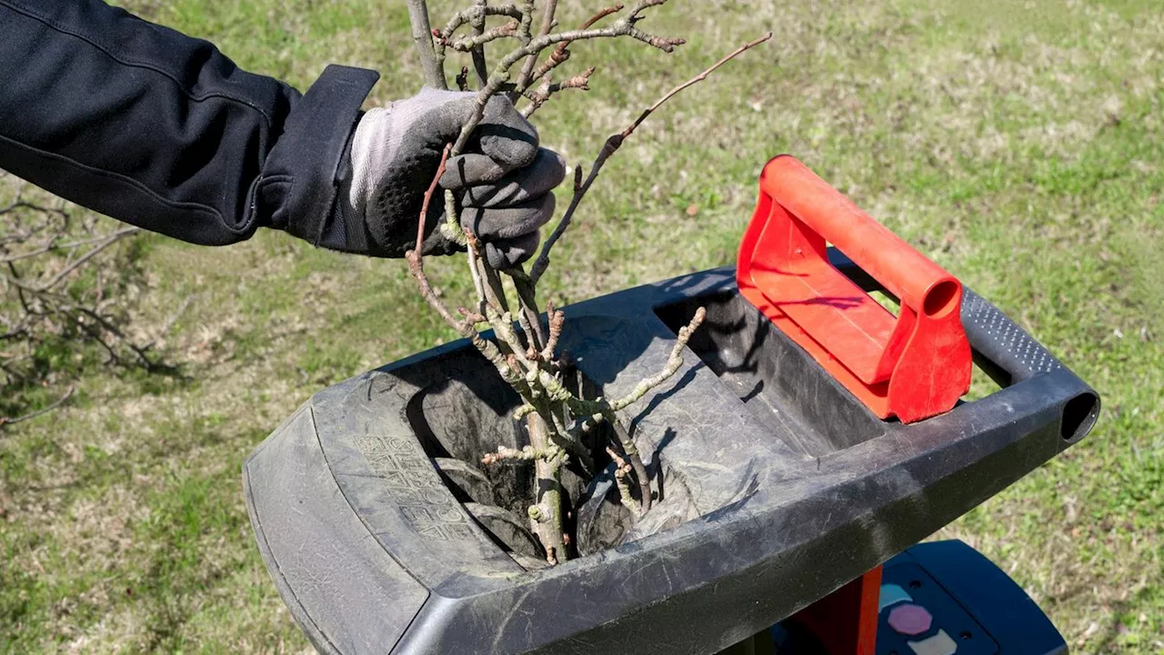 Garten-Deals: Frühjahrsvorbereitung mit den besten Schnäppchen