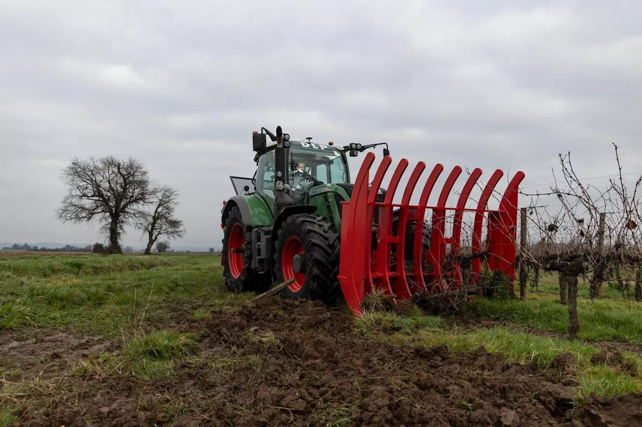 Cali et Castillon-Pujols : Unidés vers des filières alternatives pour les viticulteurs en crise