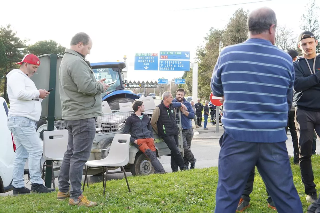 « On ne voulait pas faire chier tout le monde » : Après une longue journée de blocage, la mobilisation agricole va-t-elle repartir au Pays basque ?