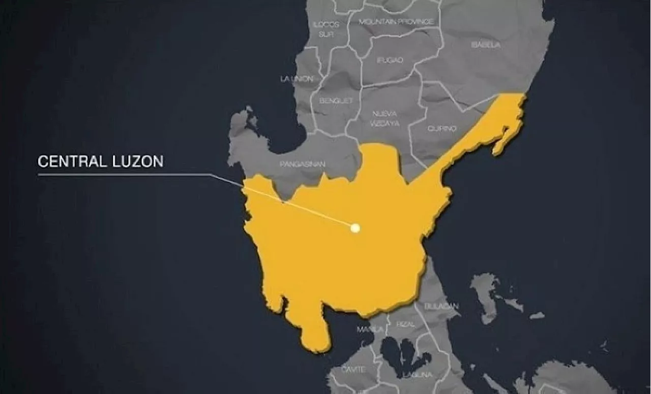 Leader of Remaining Active Private Armed Group in Central Luzon Surrenders