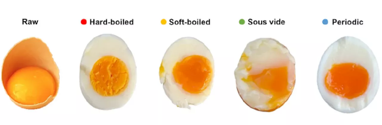 Chemiker haben das perfekte Frühstücksei gekocht - man braucht zwei Töpfe und 32 Minuten Zeit