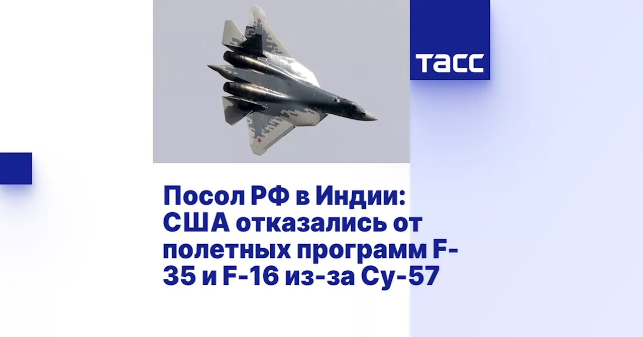 Посол РФ в Индии: США отказались от полетных программ F-35 и F-16 из-за Су-57