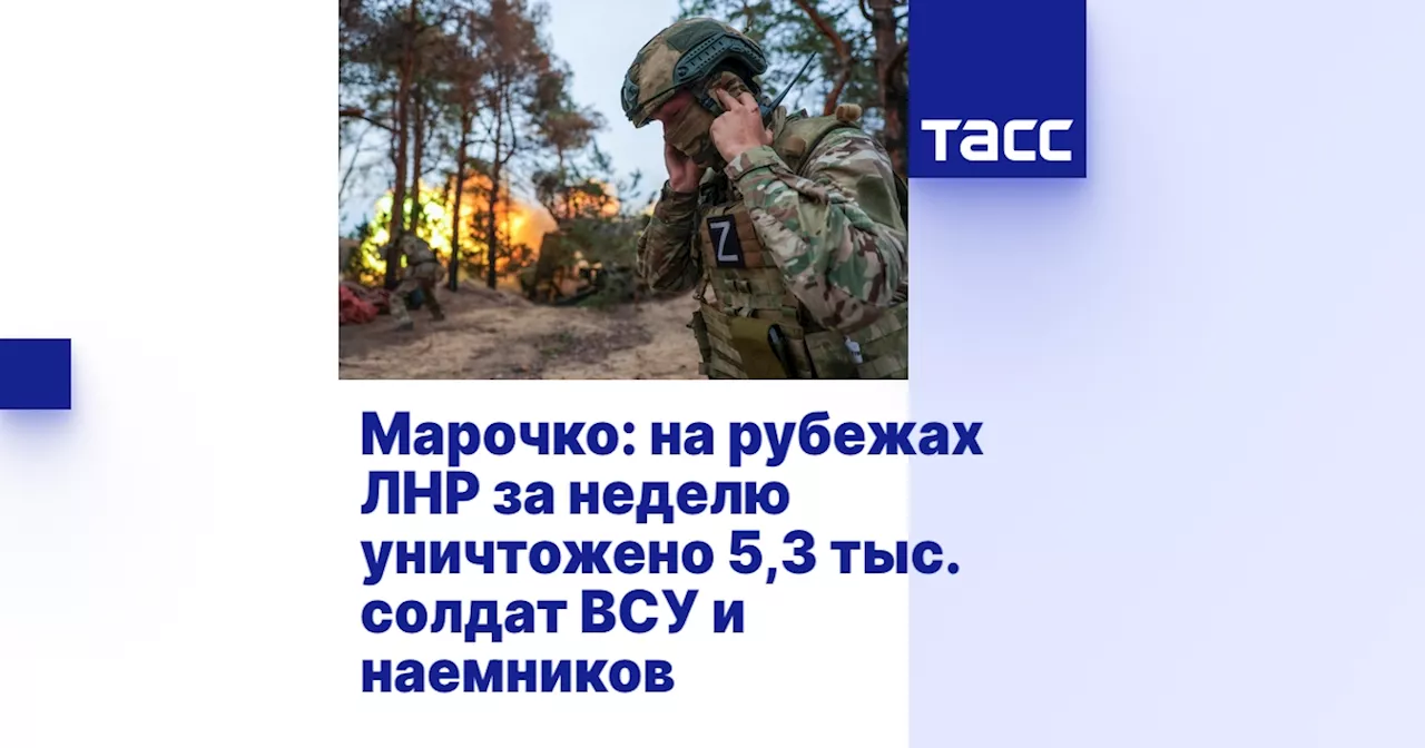 Российские войска уничтожили более 5 300 украинских боевиков на рубежах ЛНР за неделю