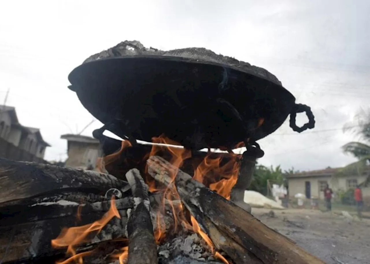 Nigeria Pushes for Clean Energy Transition and Climate Action