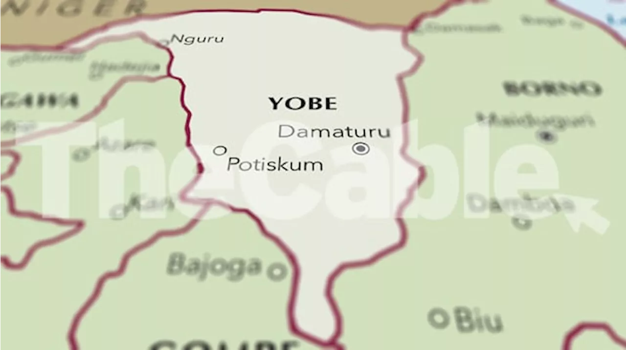 Yobe deploys research team to communities over rising kidney failure cases