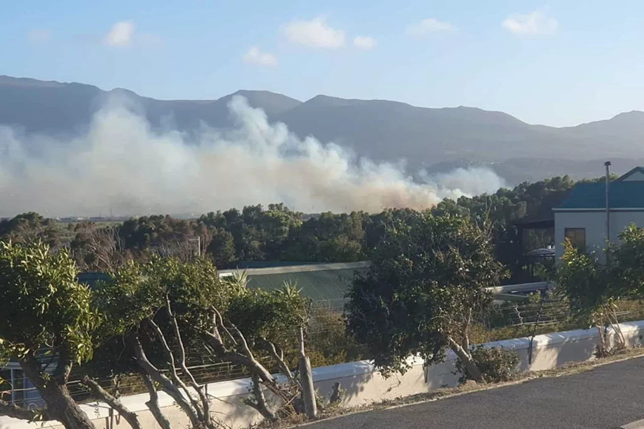 Cape Town's Table Mountain Fire Reignites Due to Strong Winds