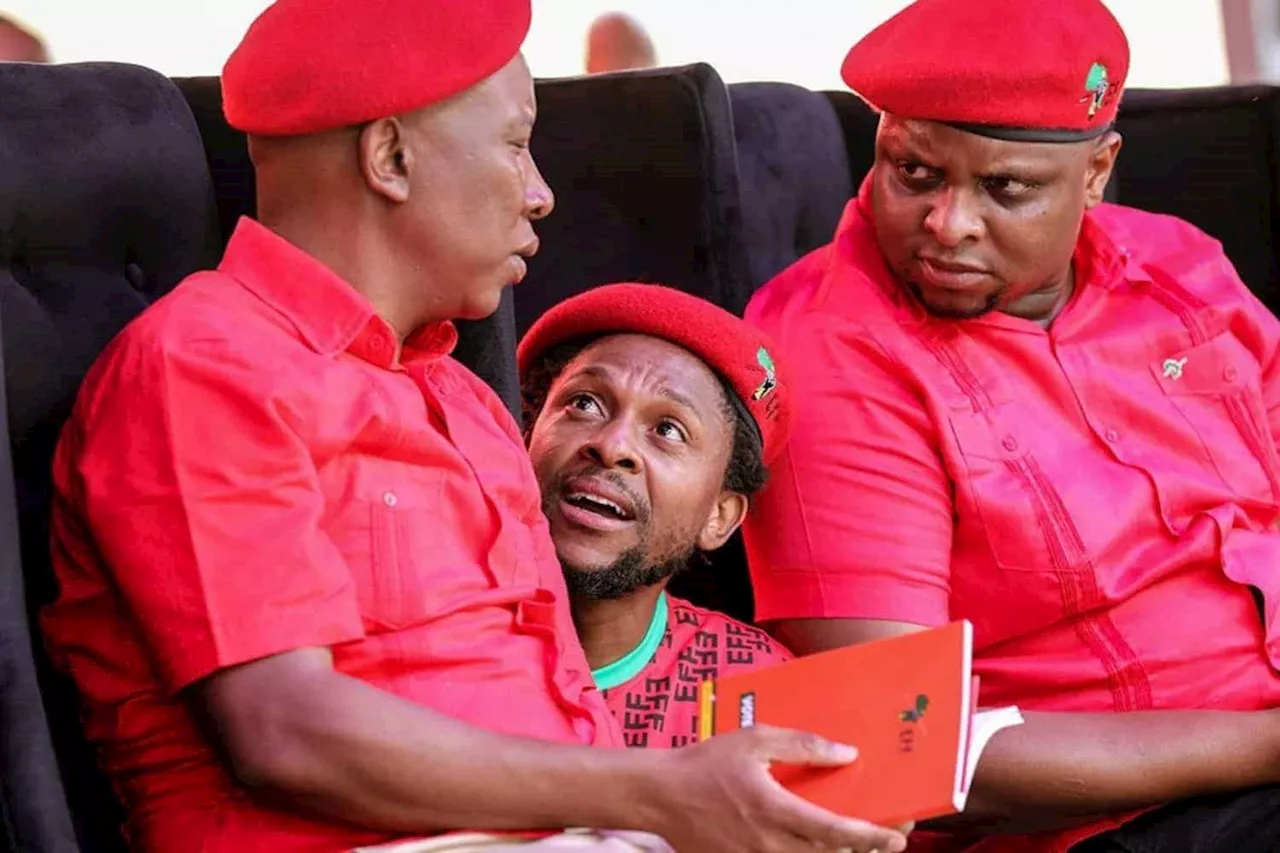 Mbuyiseni Ndlozi resigns from Julius Malema’s EFF [VIDEO]