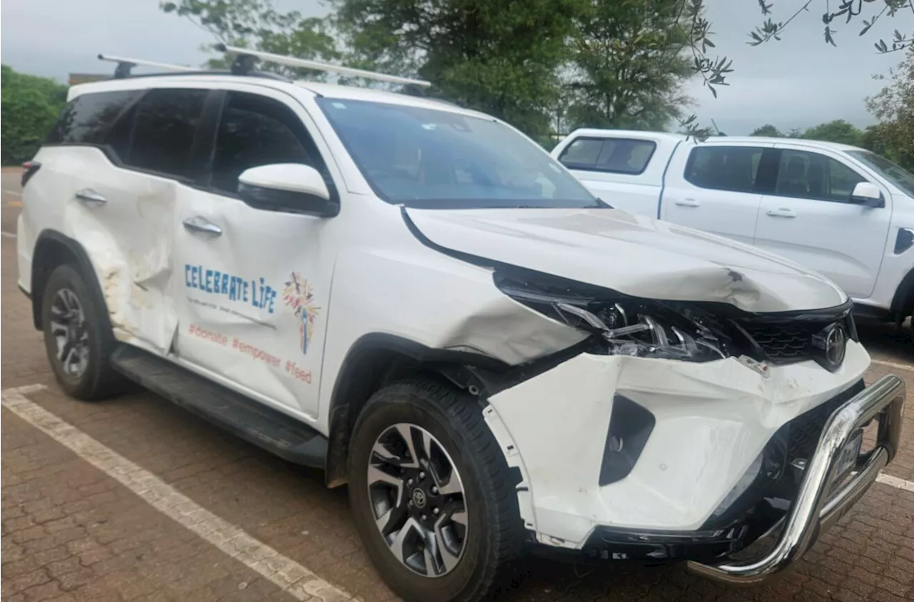 Fleeing Zebras Smash Brand-New Toyota in Kruger Park – PHOTOS