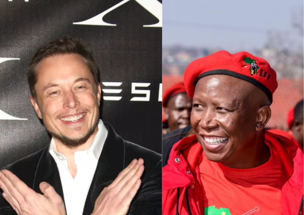 ‘Go to hell’: EFF claps back at Elon Musk over comments on Malema