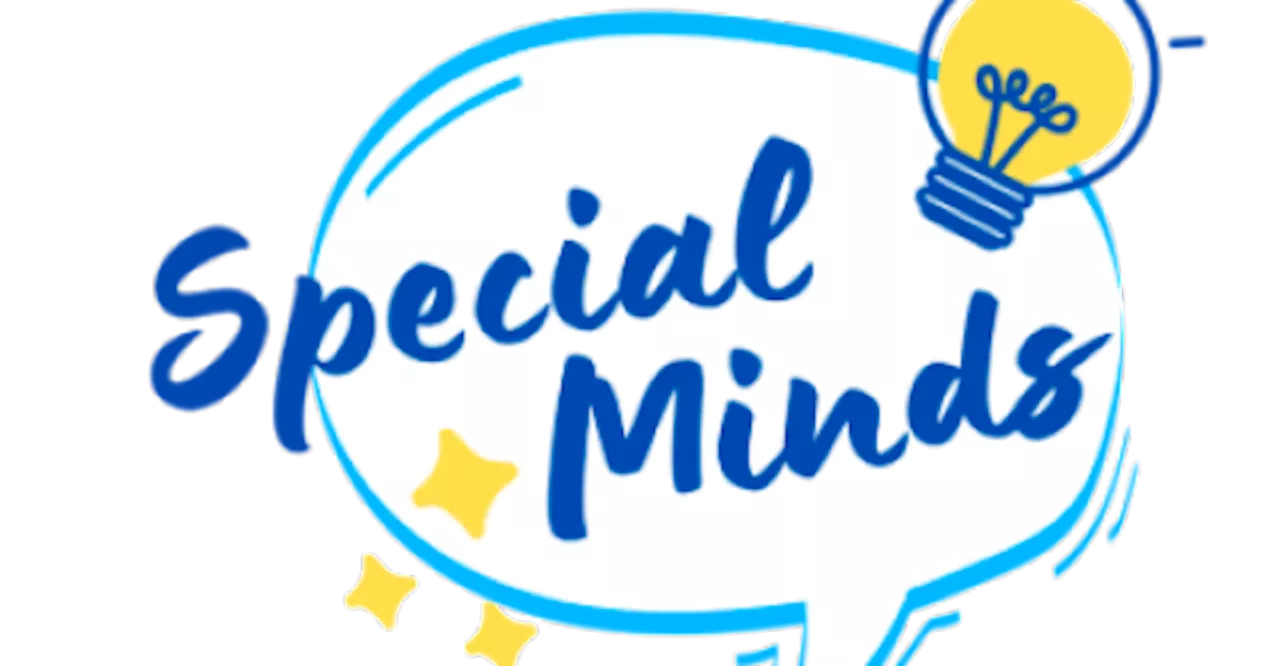 Special Minds: A New Platform Bridging Accessibility and Affordability for Children with Special Needs in Singapore