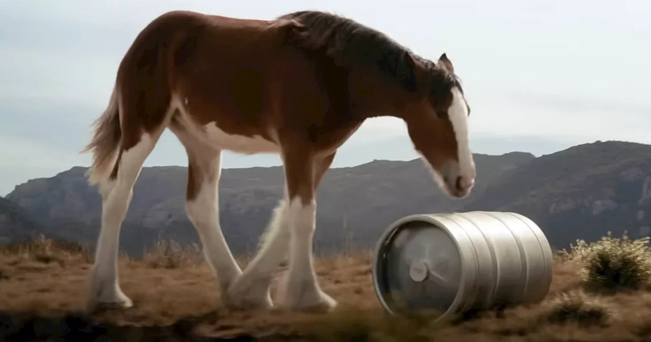 Budweiser's 'First Delivery' Reigns Supreme in USA Today's Ad Meter