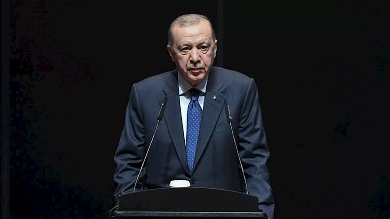 Erdogan Demands Accountability for Gaza Devastation, Calls for Palestinian Restitution