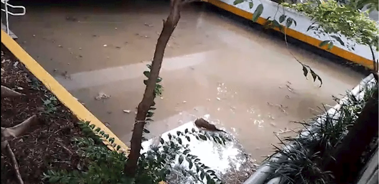 Esgoto Inunda Rua Augusta em São Paulo e Gera Reclamações