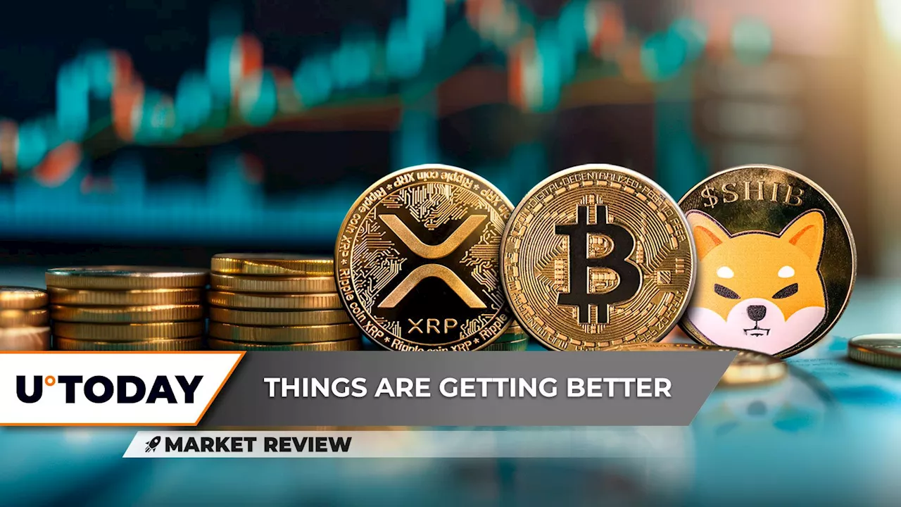 Bitcoin Eyes $100K, But XRP's Recovery Faces Doubts and SHIB Looks at a Death Cross