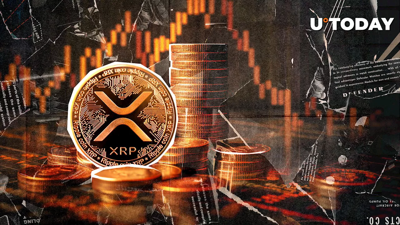 XRP Transaction Metrics Plummet 70%, Network Activity Raises Concerns