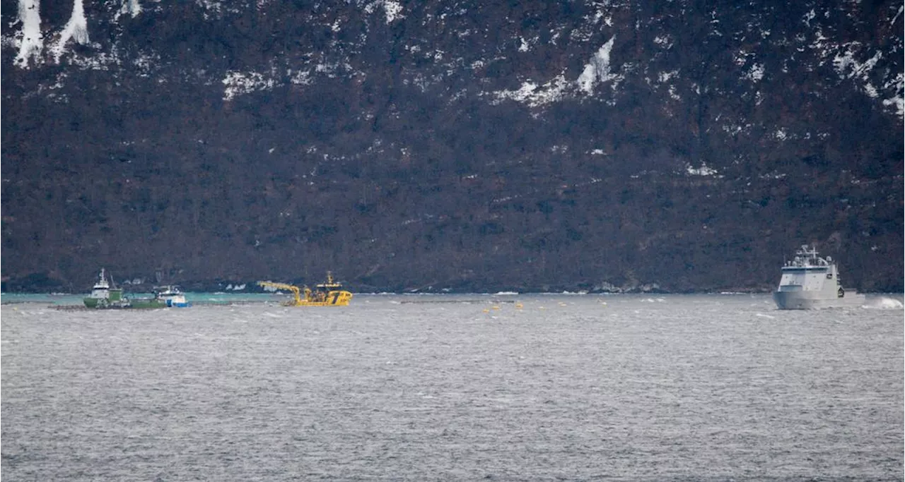 Mowi-anlegg i Dyrøy: 25 prosent av laksen rømt