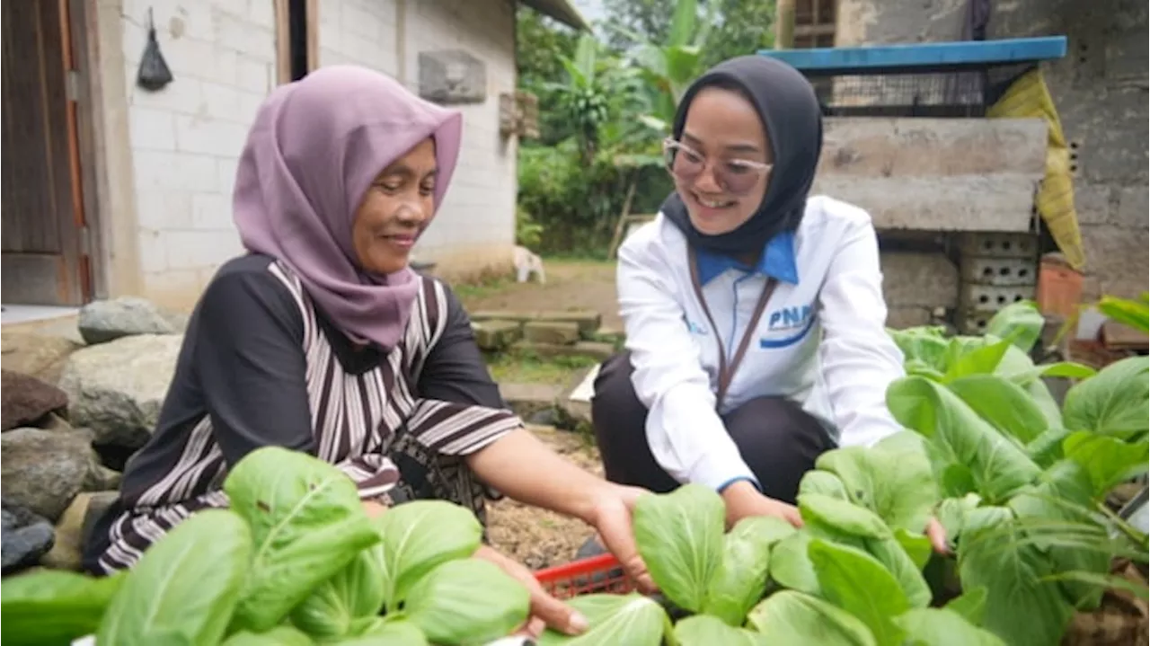 PNM Dukung Ketahanan Pangan Melalui Program Rumah Pangan